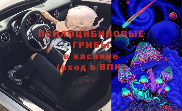 бошки Аркадак