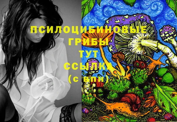 бошки Аркадак
