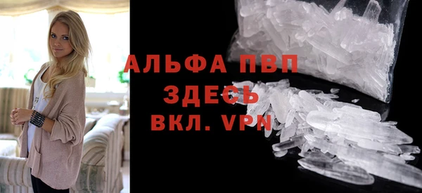 гашик Арсеньев