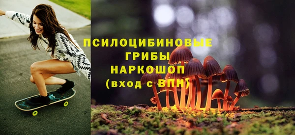 бошки Аркадак