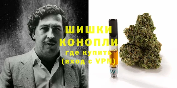 гашик Арсеньев