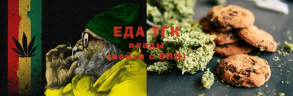 гашик Арсеньев