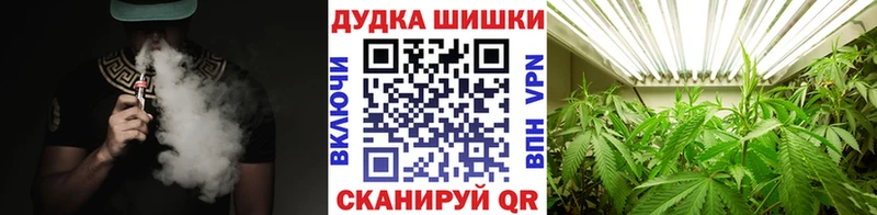Каннабис планчик  наркота  Салаир 